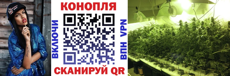 Купить закладки Лосино-Петровский Каннабис OG Kush